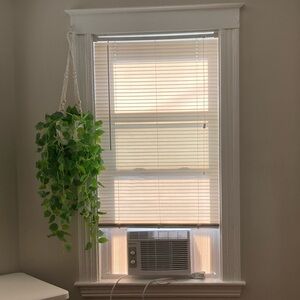 Artifitial Hanging Plants with Lights